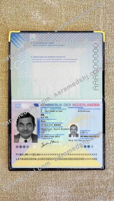 Netherlands passport (2014-present) photo look